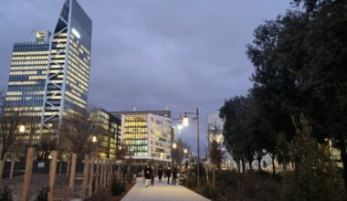 Lyon. Aux portes de la gare de la Part-Dieu, le bois urbain est en train de prendre racine
