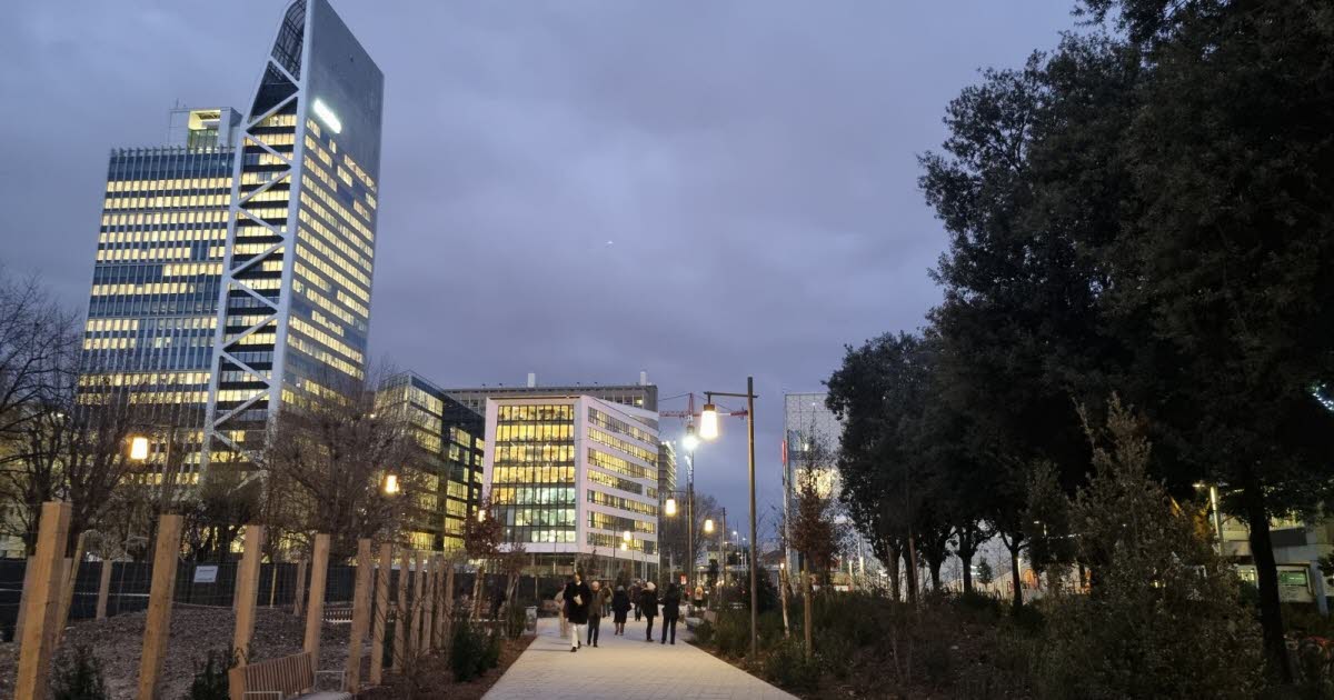 Lyon. Aux portes de la gare de la Part-Dieu, le bois urbain est en train de prendre racine