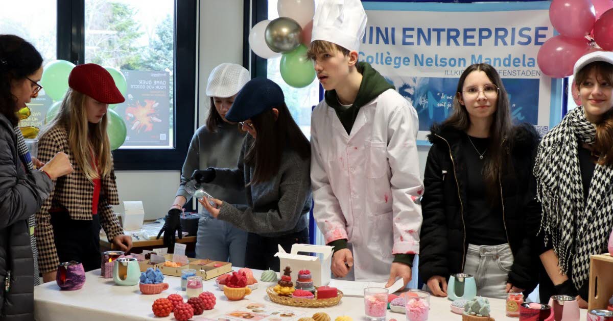 Illkirch-Graffenstaden. Quatorze années d’aventure entrepreneuriale au collège Nelson-Mandela