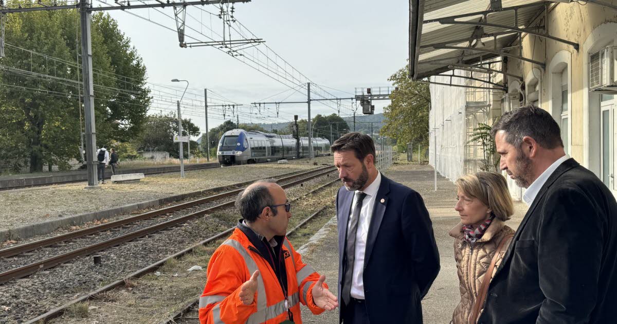 « Tout est devenu trop compliqué dans notre pays »