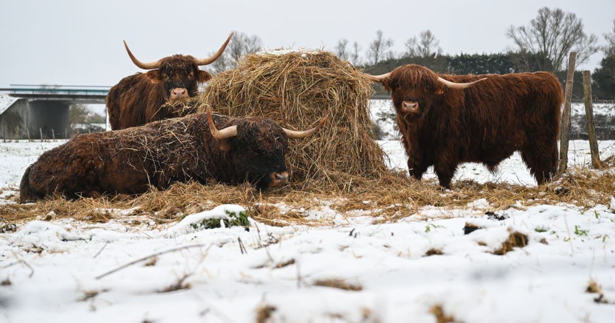 Hello Ketty. Les images décalées de la semaine dans l'objectif de notre photographe