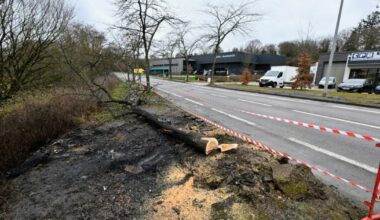 la thèse d’un accident privilégiée et des questions