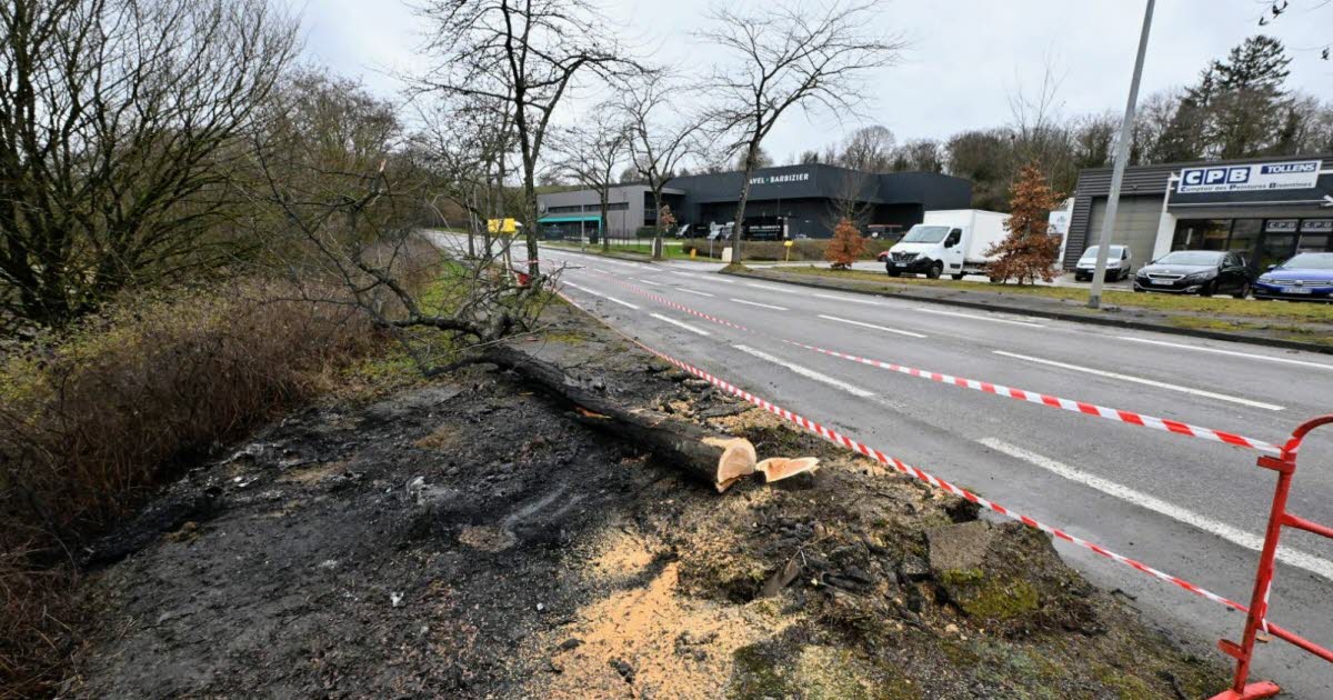 la thèse d’un accident privilégiée et des questions