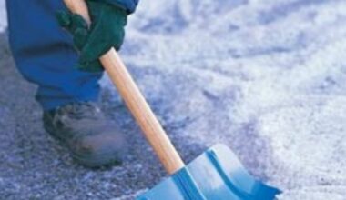 Saint-Nicolas-de-Port. Distribution de sel de déneigement ce samedi 10 janvier