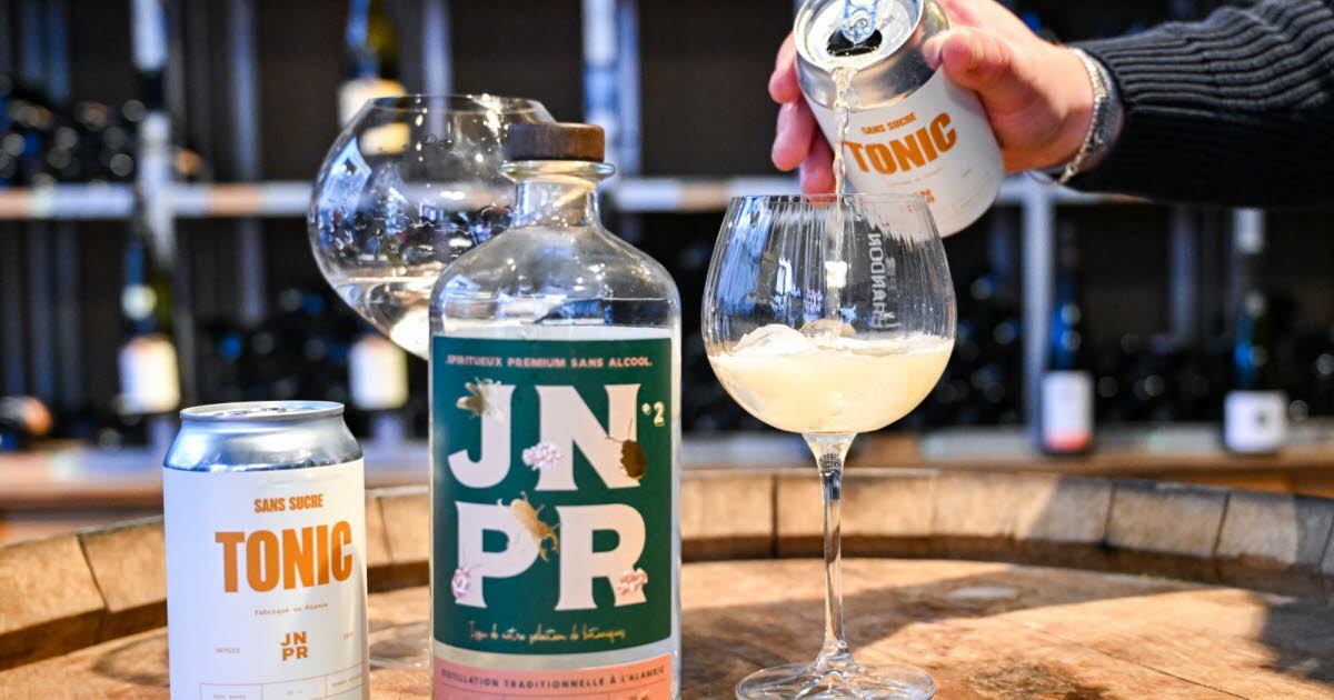 Nancy. « Des spiritueux sans alcool au goût parfois bluffant », observe un caviste à l’occasion du Dry January