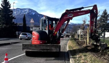 Échirolles. Une zone test de plantation de chênes avenue Kimberley