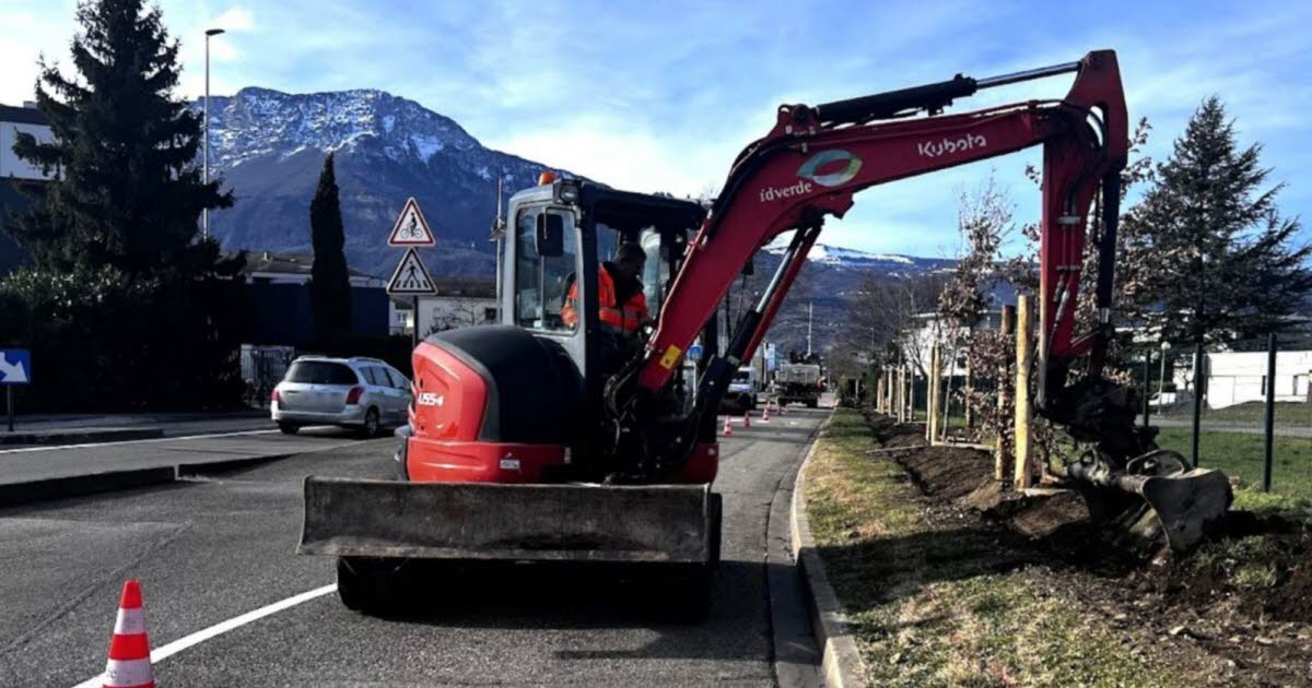 Échirolles. Une zone test de plantation de chênes avenue Kimberley
