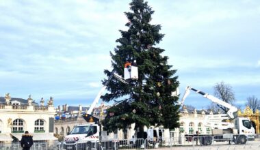Nancy. Le sapin de fin d’année va quitter la place Stanislas