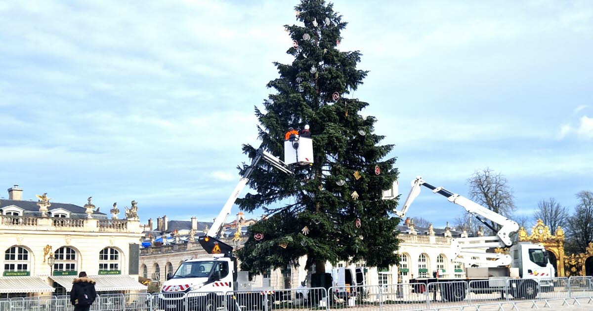 Nancy. Le sapin de fin d’année va quitter la place Stanislas