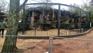 l’ancienne fosse aux ours change de visage