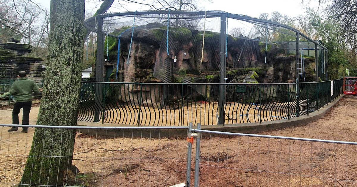 l’ancienne fosse aux ours change de visage