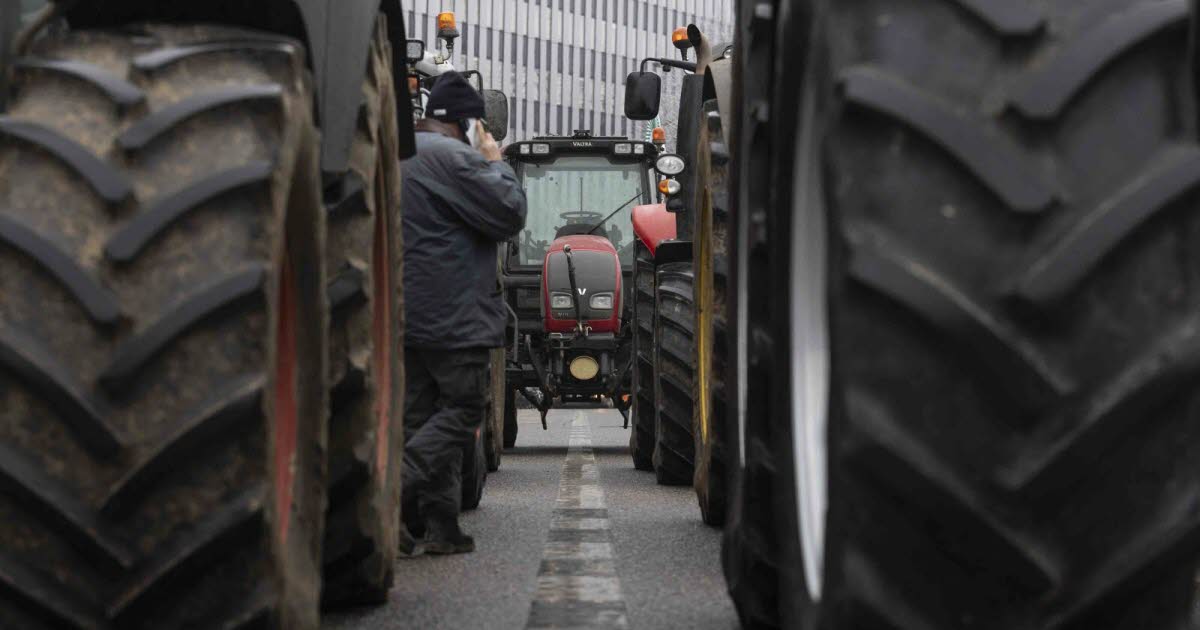 Strasbourg. Une « grande manifestation » des agriculteurs le 20 janvier contre les accords avec le Mercosur