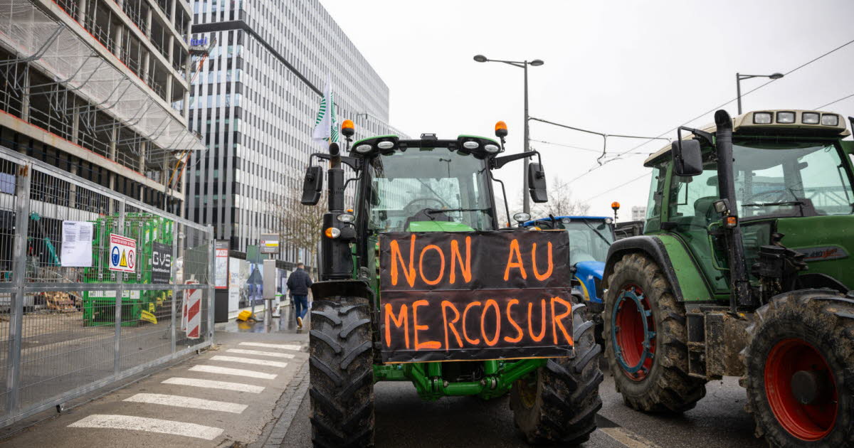 Strasbourg. 700 tracteurs attendus devant le Parlement européen contre le Mercosur