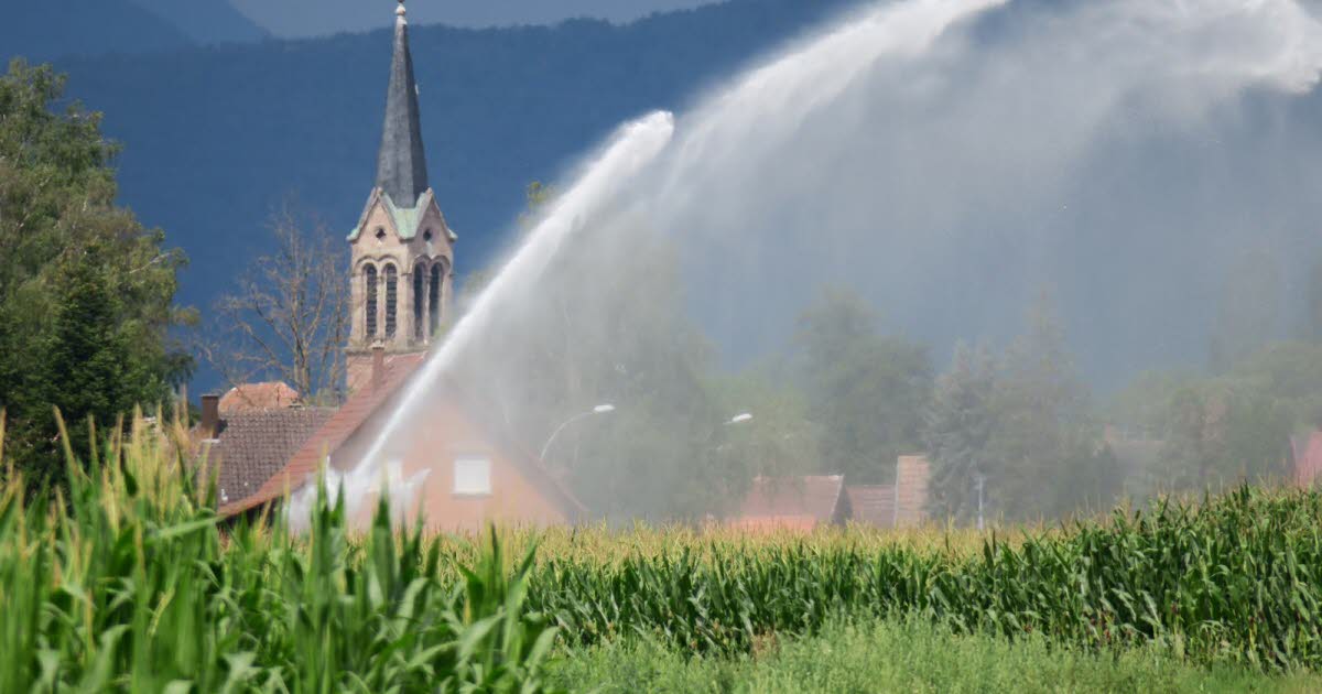 Agriculture. Augmenter le prix de l’eau pour « une irrigation plus mesurée »