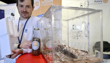 Nancy. À Thionville, les vers de farine dévorent les plastiques