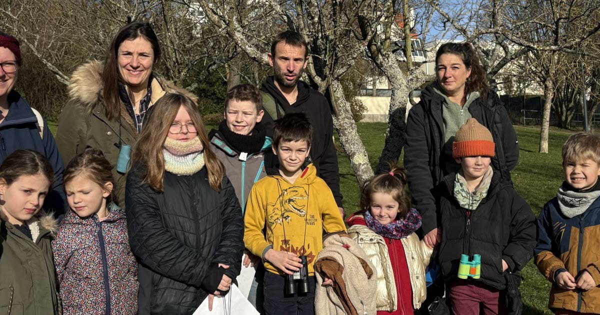 Laxou. Ils découvrent les oiseaux dans le parc de l’Hôtel de ville