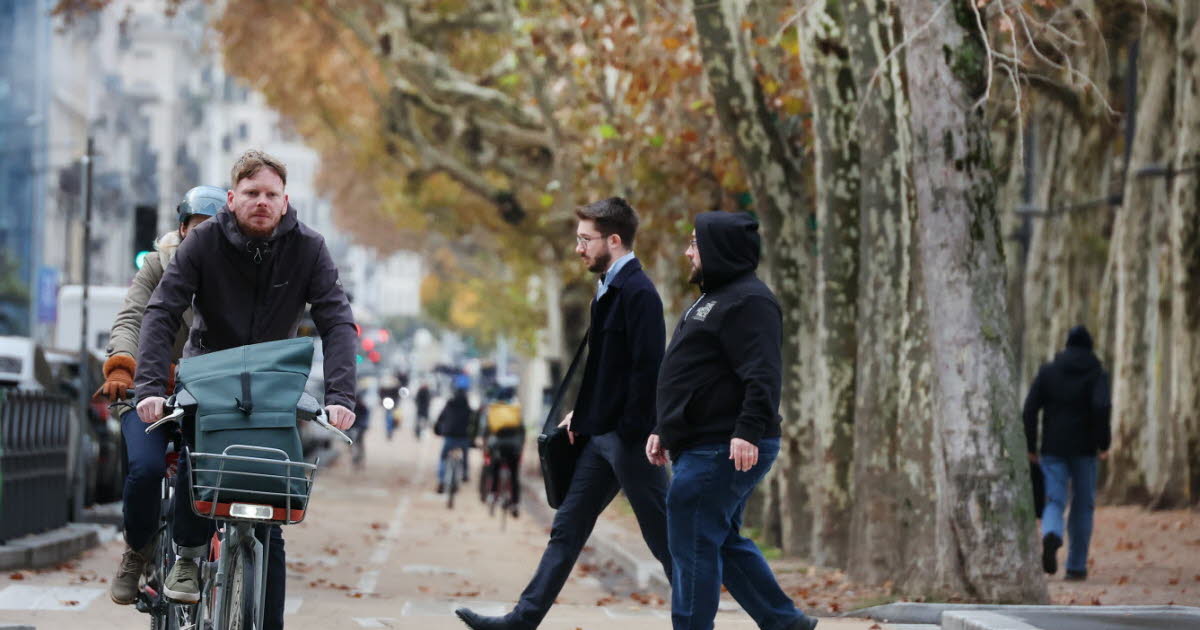 ce que proposent ces associations