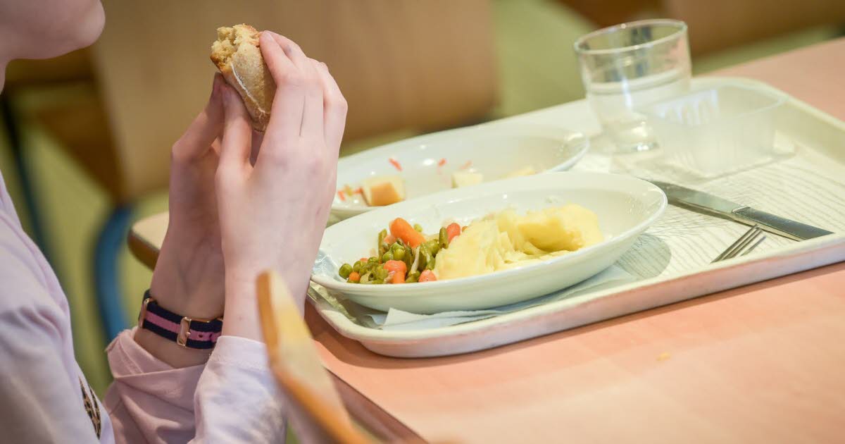 Messein. Changement de prestataire pour les repas à la cantine de l’école