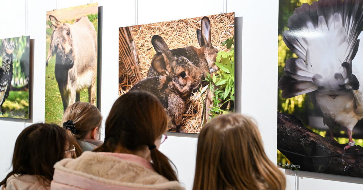 Nancy s’engage en faveur du bien-être animal dans ses cantines
