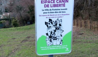 Fontaine. Un nouvel espace canin ouvre au parc de la Poya