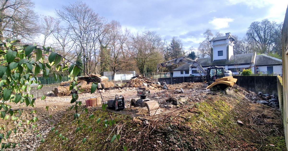 Nancy. À la pépinière, une page se tourne, le rocher des singes est tombé