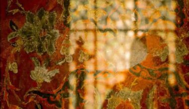 Exposition photographique à la Douëra