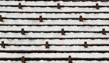 la neige transforme les objets en œuvres d'art temporaires
