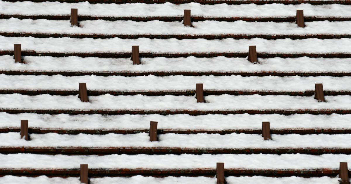 la neige transforme les objets en œuvres d'art temporaires