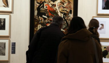 au musée des Beaux-Arts, les oeuvres de Vincent Munier émerveillent les visiteurs