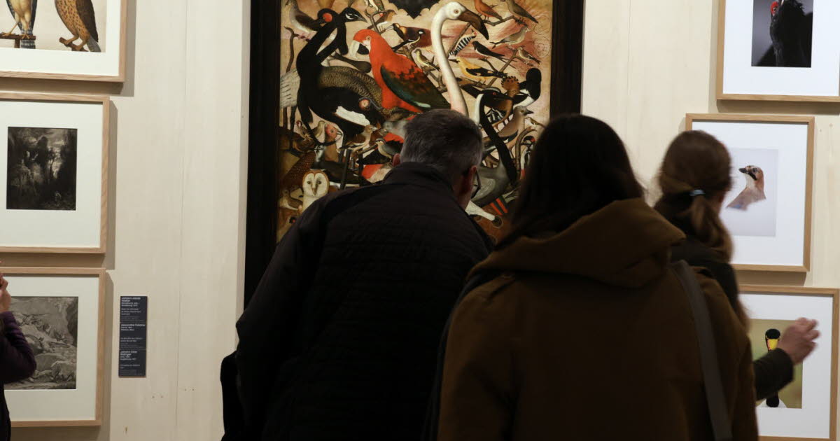 au musée des Beaux-Arts, les oeuvres de Vincent Munier émerveillent les visiteurs