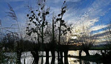 Photos. Jeux de lumière, miroir et reflets sur l’Allan, dans le pays de Montbéliard