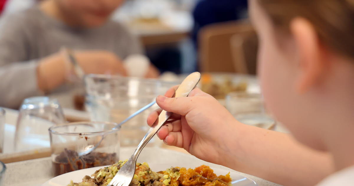 Municipales 2026. Le programme très social de la liste “Schiltigheim fière et populaire !”