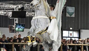 Nancy. Pourquoi le salon Cheval Expo a-t-il quitté le parc des expositions de Nancy pour celui de Metz ?