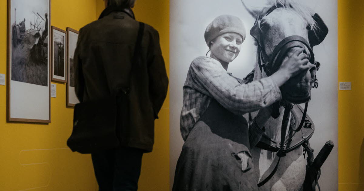 Grenoble. Une visite guidée de l’exposition François Kollar le dimanche 1er  février