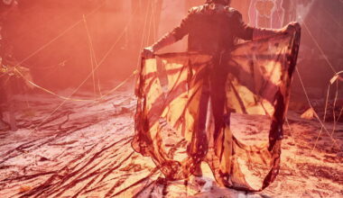 Grenoble. Un spectacle sur la disparition des papillons les jeudi 29 et vendredi 30 janvier