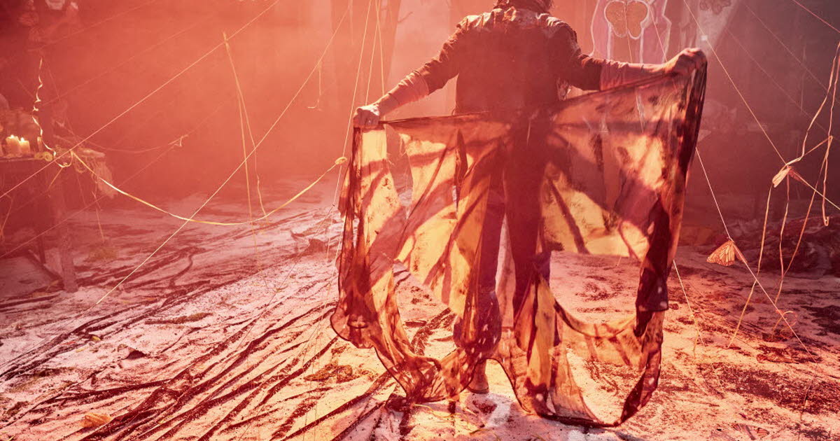 Grenoble. Un spectacle sur la disparition des papillons les jeudi 29 et vendredi 30 janvier