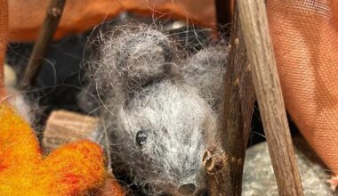 Strasbourg. Un spectacle pour les tout-petits ce mercredi à L’Oiseau rare