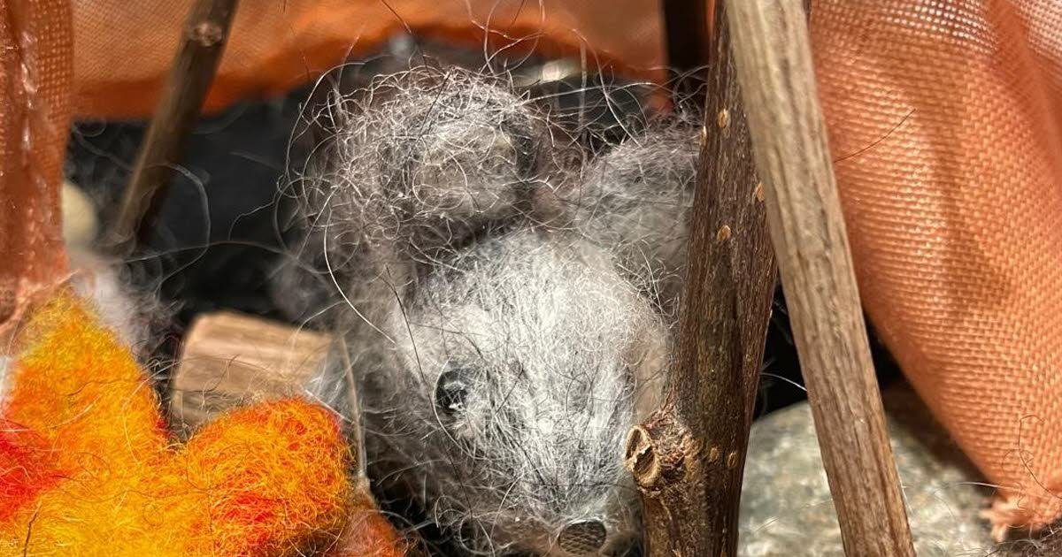 Strasbourg. Un spectacle pour les tout-petits ce mercredi à L’Oiseau rare
