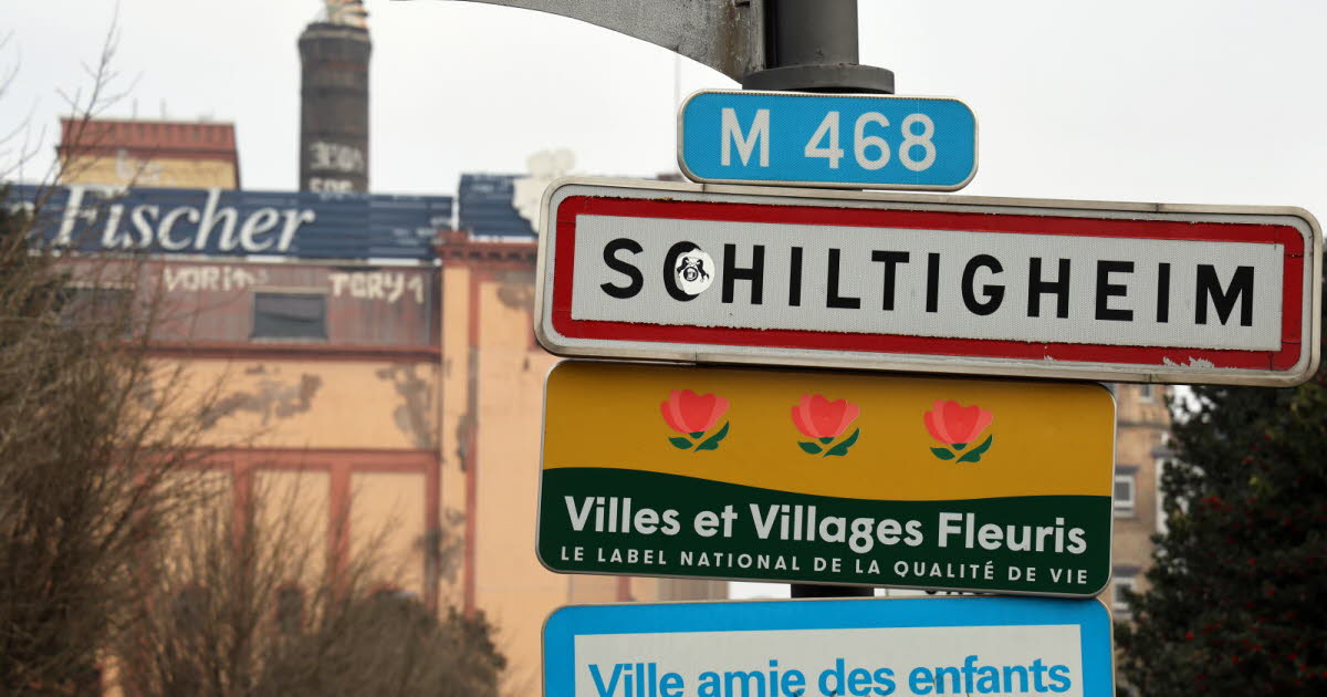 Municipales 2026. À Schiltigheim, des candidats regrettent le report du vote du budget 2026