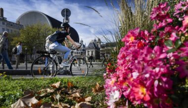 l’écologie, mal-aimée de la campagne lyonnaise