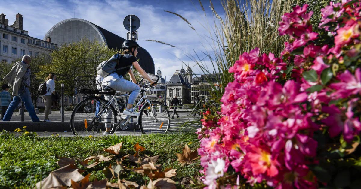 l’écologie, mal-aimée de la campagne lyonnaise