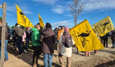 dans l’Hérault, les agriculteurs reviennent sur les routes