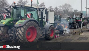 Strasbourg. Manifestation des agriculteurs : la Ville porte plainte après l'abattage d'arbres