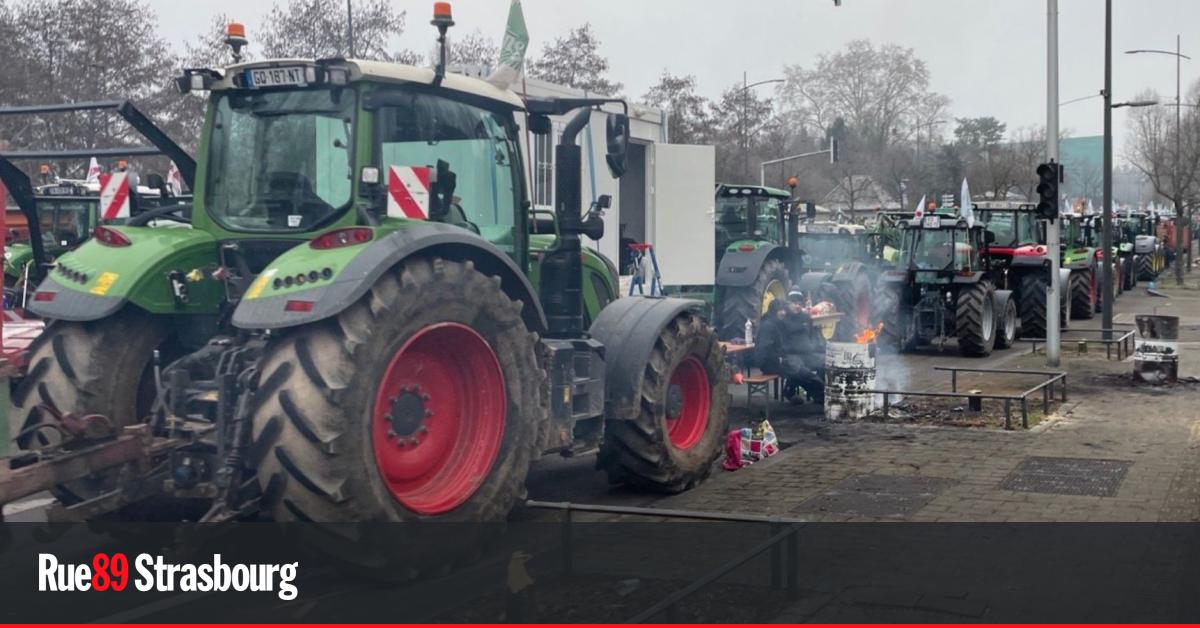 Strasbourg. Manifestation des agriculteurs : la Ville porte plainte après l'abattage d'arbres