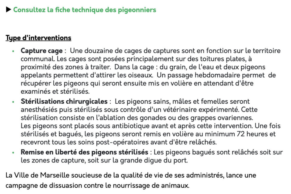 pigeons marseille site