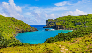 Après l’évacuation de 131 chats, cet écosystème a réagi bien au-delà de ce que prévoyaient les scientifiques