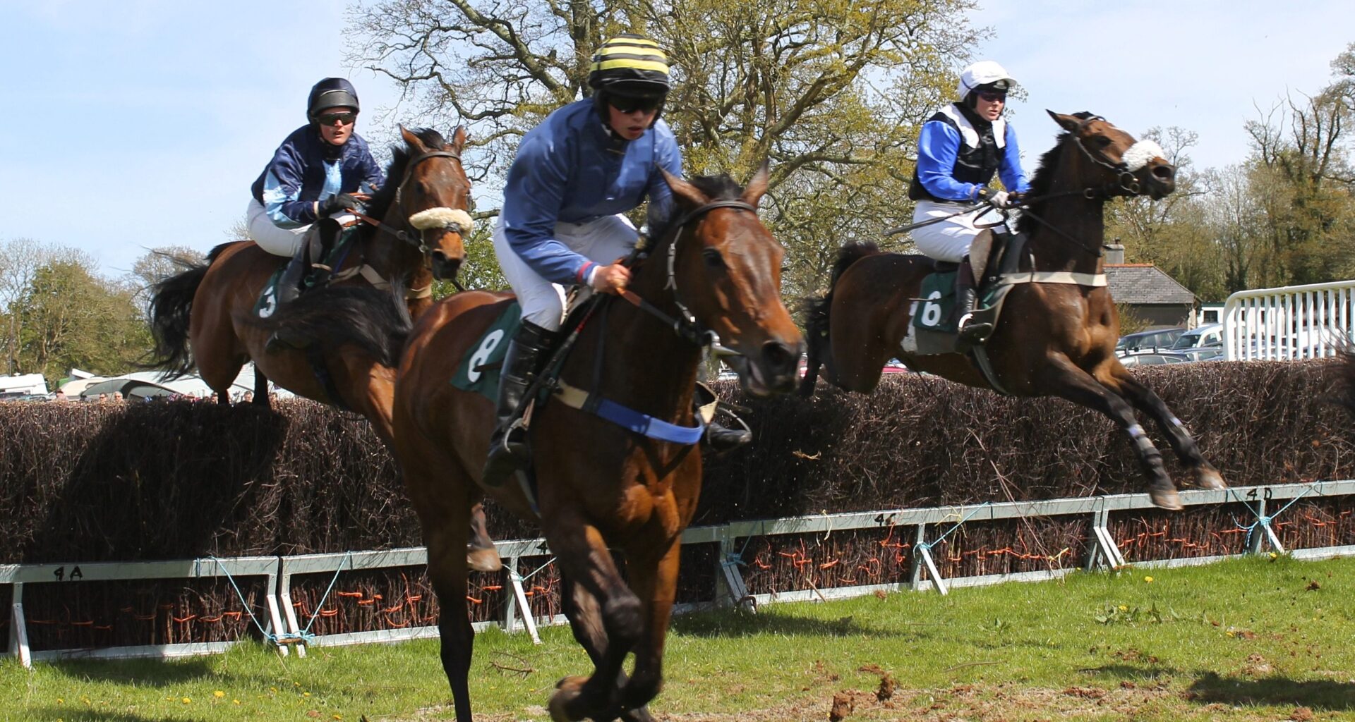 Les pronostics hippiques de Sébastien Mortagne : Mercredi 28 Janvier - RDL - La Radio qui Chante