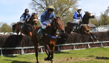 Les pronostics hippiques de Sébastien Mortagne : Mercredi 28 Janvier - RDL - La Radio qui Chante