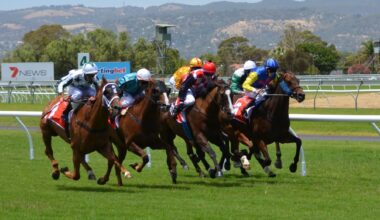 Les pronostics hippiques de Sébastien Mortagne : Vendredi 9 Janvier - RDL - La Radio qui Chante