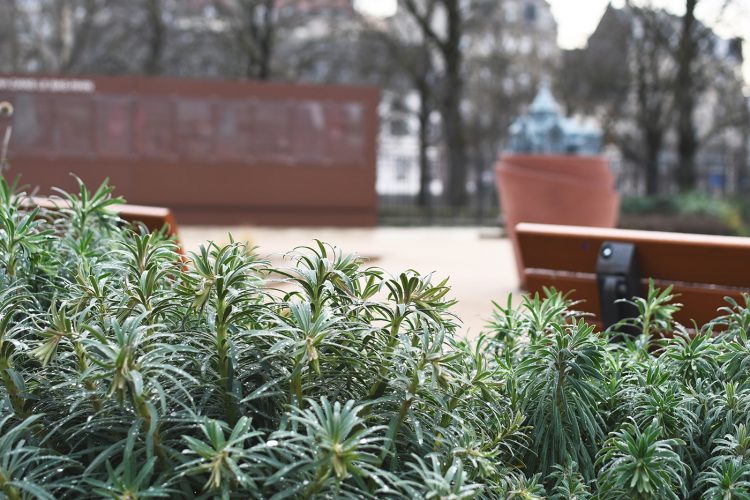 place square des halles (11) ancienne synagogue